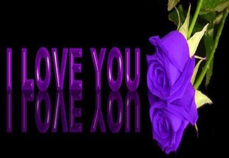 Purple Rose - purple writing, black background, beautiful, purple roses, green leaves