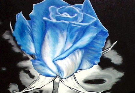 Feel Blue - flowers, roses, rose, blue