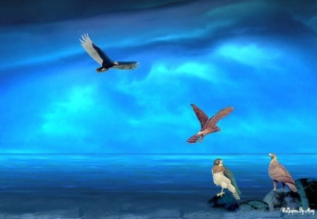 Turquoise Paradise - Ocean, Water, Hawks, Beaches, Sky, Birds