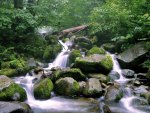 Pacific Northwest River Falls