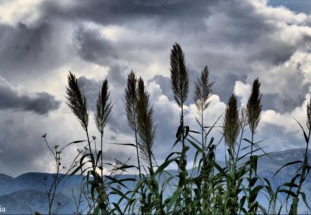 force - clouds, force, Giuseppe Caria, nature, photo