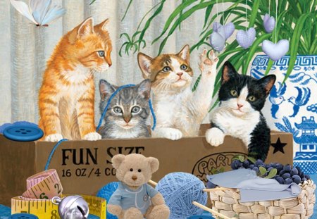 Sweet Cats - cats, butterfly, teddy, toys, flower