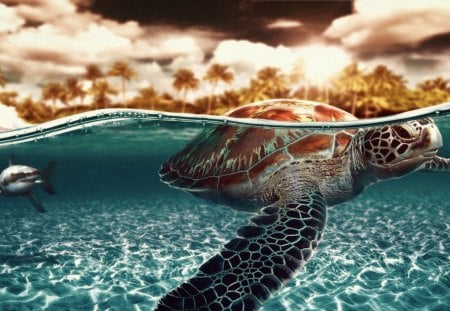 *** The turtle in the sea *** - turtles, turtle, water, blue, sea, animals