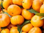 Oranges