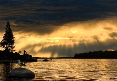 Sunset - rays, sky, sunset, clouds