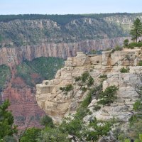 View the Grand Canyon from the North Rim