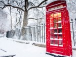 Telephone Box