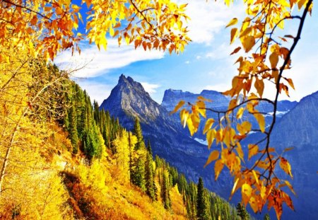 Autumn Mountain