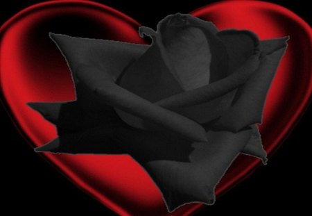 Valentine Heart - love, red heart, valentine day, valentine heart, black rose, happy