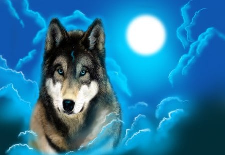 Moonlight Wolf - wolf, moon, blue, animal, night