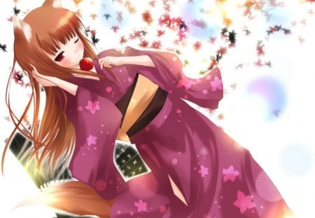 Spice and wolf - spice, and, wolf, cute, holo