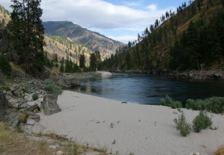 salmon river - nature, forest, mountain, river