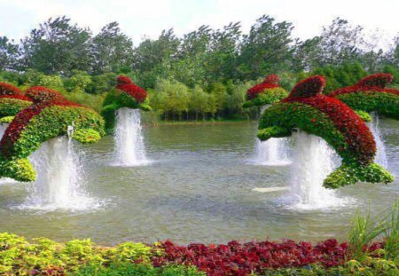 dolphins - flowers, china, fountains, water