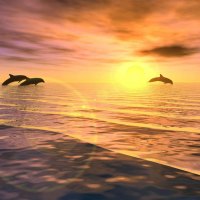 Jumping Dolphins at Sunset