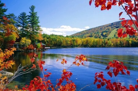 Lakeside View - blue, forest, reflection, leaves, mountain, red, lake, sky, limbs, clouds, house, trees, water, colors, architecture, daylight, nature, green, autumn, day, shine