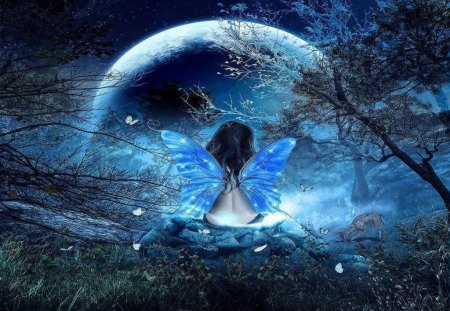 Butterfly Fantasy - moon, butterfly, abstract, girl, fantasy