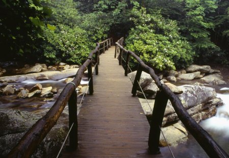 Bridge - wood, bridge, path, photo