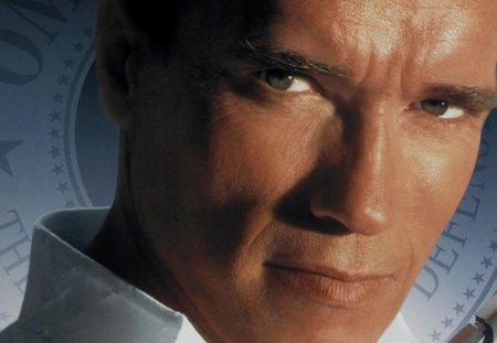 True Lies - arnold, Movie, True, Lies