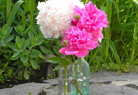 ๑♥๑ Bottle Bouquet ๑♥๑ - pretty, key, forever, beautiful, simple, outdoor, love, bouquets, pink, peonies, flowers, fresh, nature, green, garden, bottles