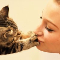 Women and cat