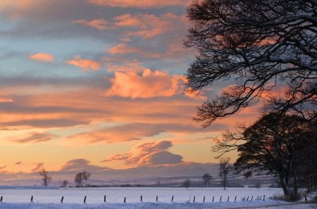 Winter - sky, landscape, snow, winter, sunrise