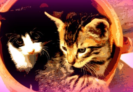 Two kittens - pot, animal, pink, cute, black, cat, art, white, kitten, orange, ginger