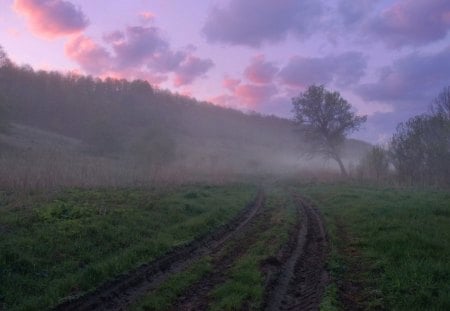 Sunrise - sky, landscape, clouds, field, sunrise