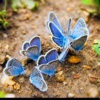 Puddling