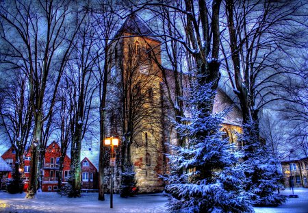 WINTER in GERMANY - branch, seasons, winter, spruce, tree, hdr, germany, lights