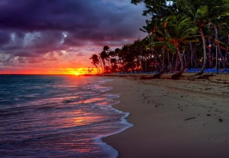 Sunset Beach - sky, ocean, beach, sun, sunset, sea, palm