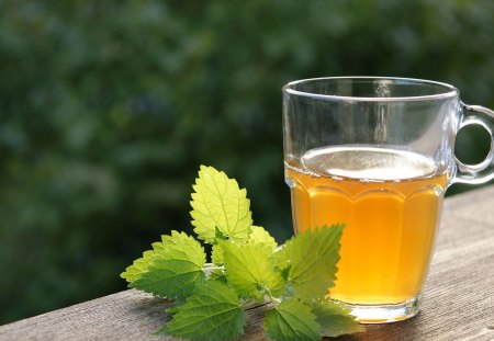 Tea - drink, Photography, Leaf, Tea