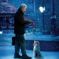 Hachi A Dogs Tale