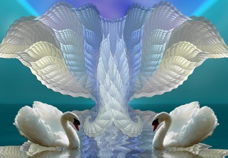 Swans and Fractal