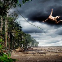 World Wildlife Fund Tarzan