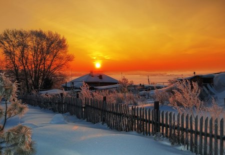 Winter Sunset - beauty, sky, trees, peaceful, sun, sunset, view, winter time, clouds, tree, house, snowy, houses, fence, landscape, winter, lovely, wwinter sunset, nature, snow, beautiful, splendor