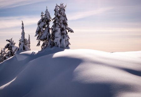 Winter - winter, sky, clouds, snow