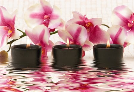 Time for me♥ - meditation, calm, beauty, freshness, pink, three, peace, black, white, flames, orchids, candles