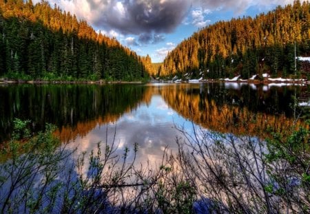 Forest Lake - sky, lake, forest, cloud, canal