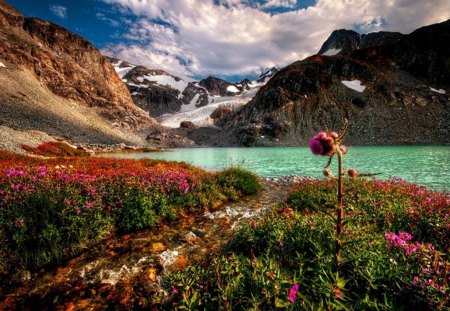 Mountain - lake, flower, mountain, sky