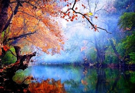 Foggy autumn - trees, water, yellow, foggy, reflection, leaves, colorful, river, nature, season, autumn, rusty