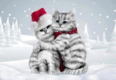 Cat hug - hug, kittens, winter, hats, scarves, christmas, hig, snow, cats, cute, santa hat