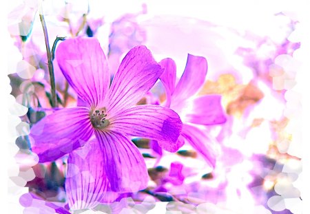 Beautiful Life - nature, abstract, flowers, 3d