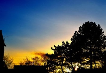 sunset - trees, sunset, blue, sky