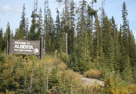 Welcome to Alberta Wild Rose Country - trees, sign, green, Photography, Forests