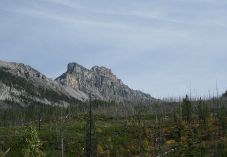 Forests and Mountains in BC - Canada - summit, mountains, forests, photography, trees, grey, green