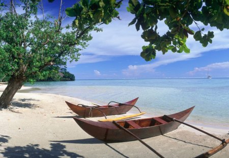 Beach and a kanoe - sand, beach, tree, canoe