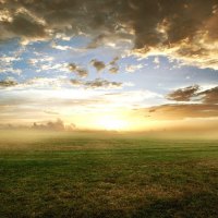 Beautiful sunrise in the field