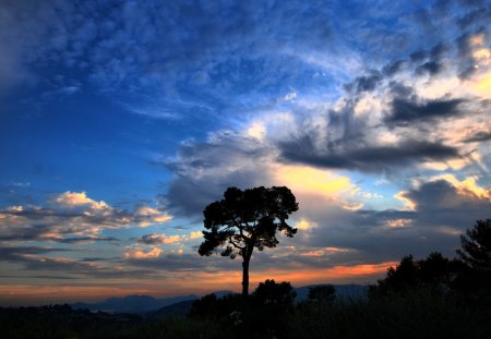 beautiful blue sky - sky, tree, could, blue