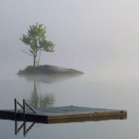 island tree and floating raft in morning mist