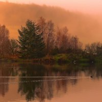 magical island lake in coral morning